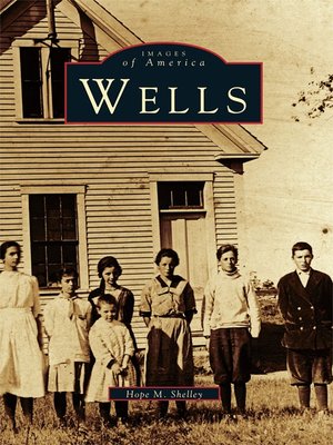 cover image of Wells